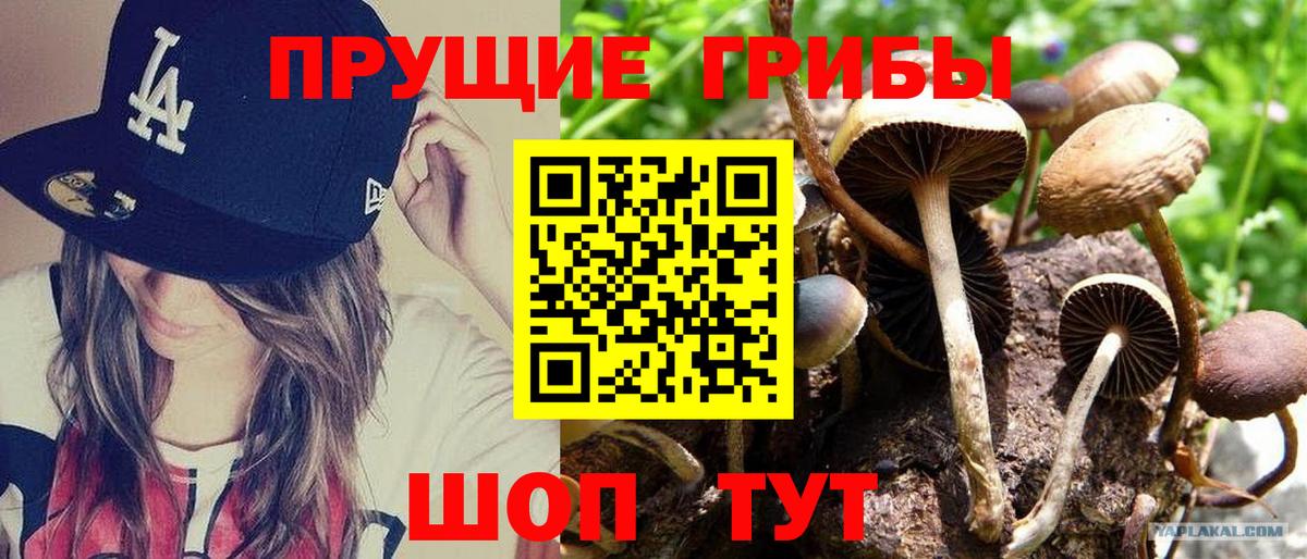 цены наркотик  Вход с VPN  Великие Луки  Галлюциногенные грибы GOLDEN TEACHER 