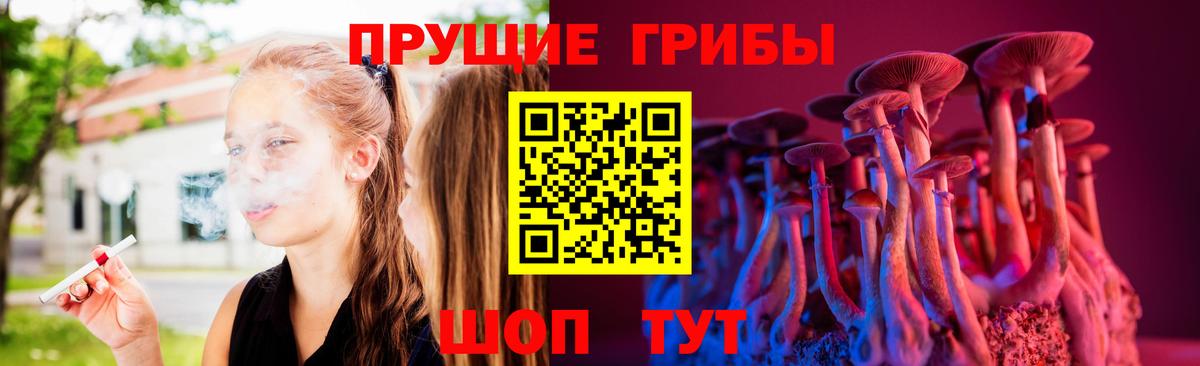 Псилоцибиновые грибы Psilocybe Великие Луки